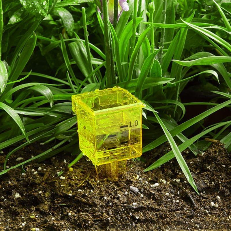 Pluviómetro Exterior Operitacx 3pcs Medidor de Agua Jardín