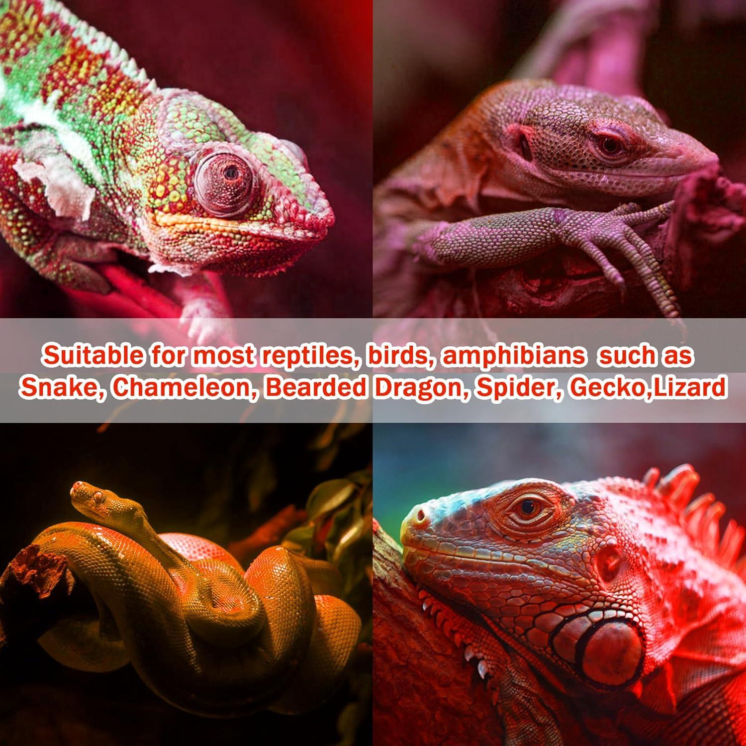 Lámpara de Calor Infrarroja 75W NEPTONION para Reptiles