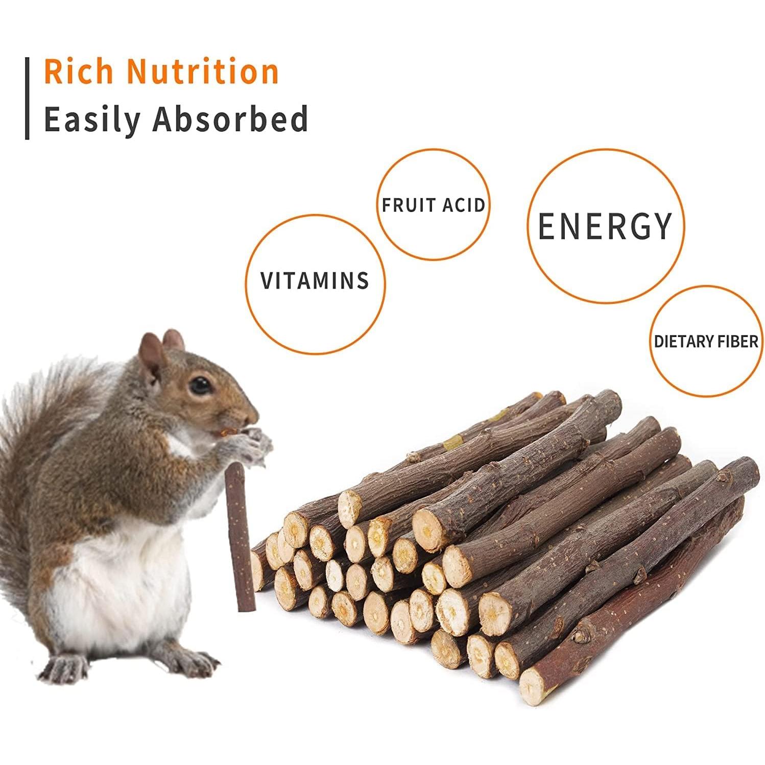 Palitos de Manzana 600g Petawi - Juguetes Molares para Mascotas