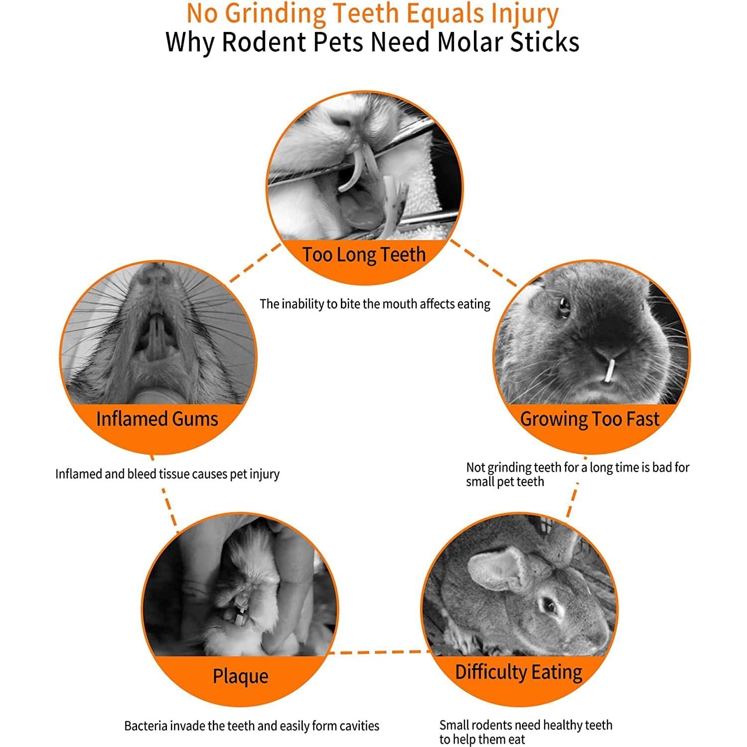 Palitos de Manzana 600g Petawi - Juguetes Molares para Mascotas