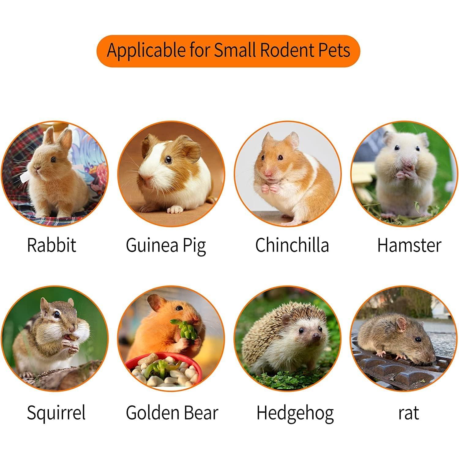 Palitos de Manzana 600g Petawi - Juguetes Molares para Mascotas