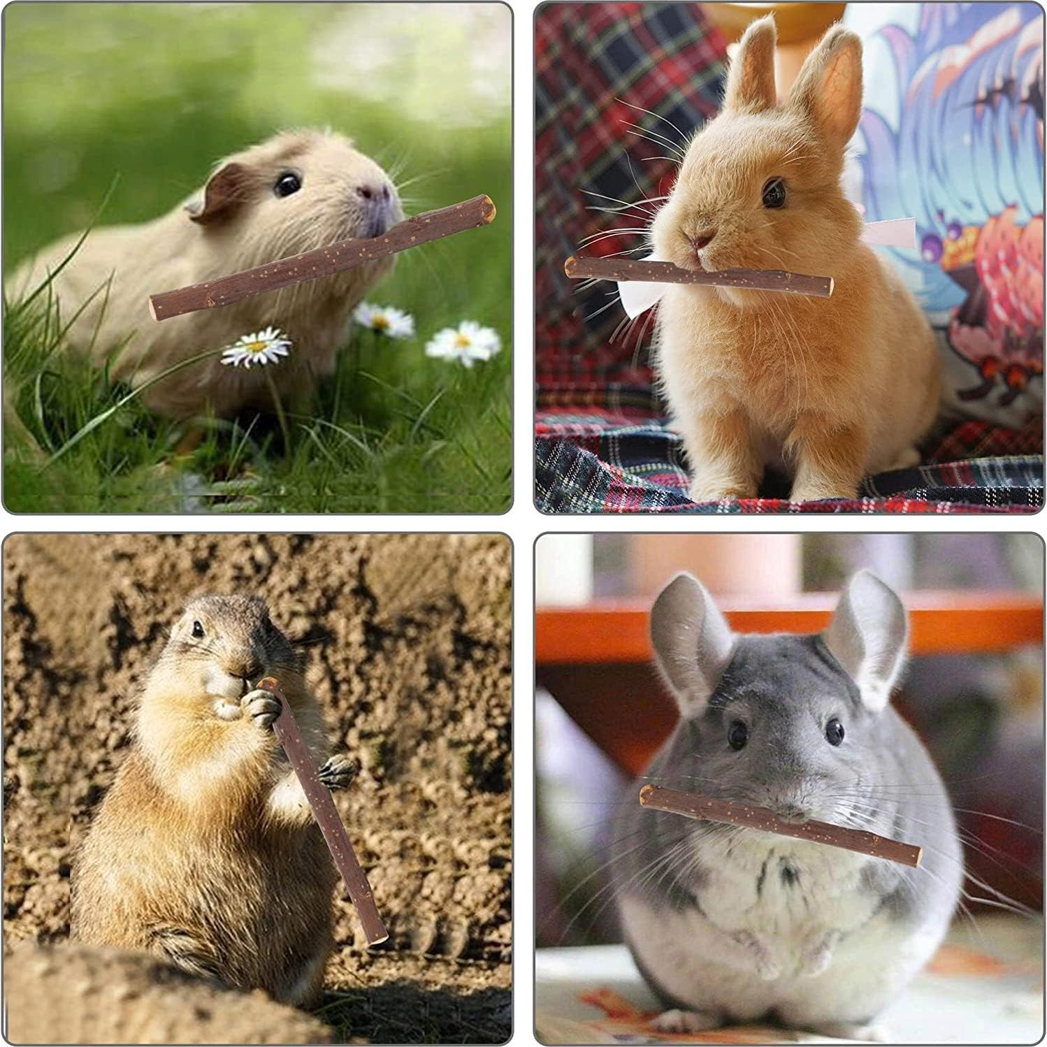 Palitos de Manzana 600g Petawi - Juguetes Molares para Mascotas