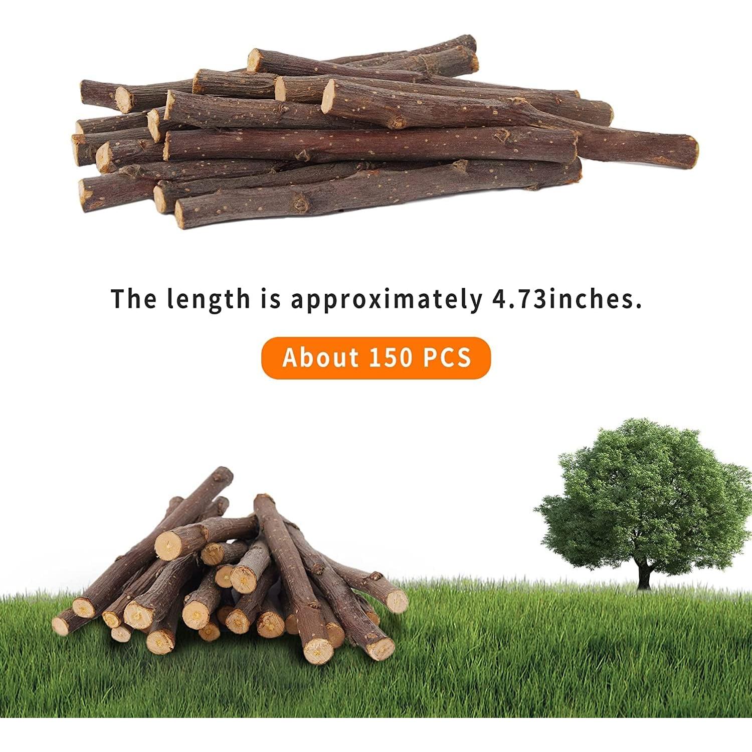 Palitos de Manzana 600g Petawi - Juguetes Molares para Mascotas