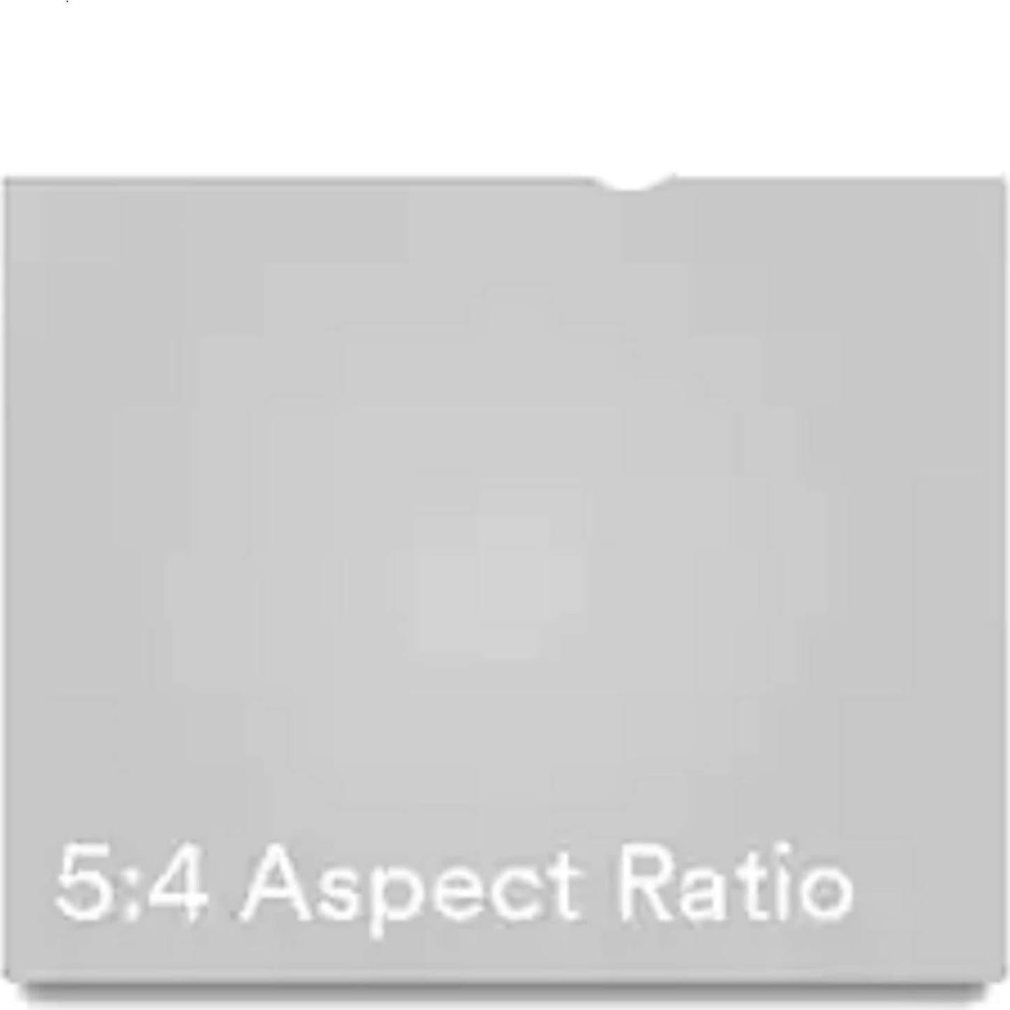 Filtro de Privacidad 3M para Monitor 19" LCD PF190C4B