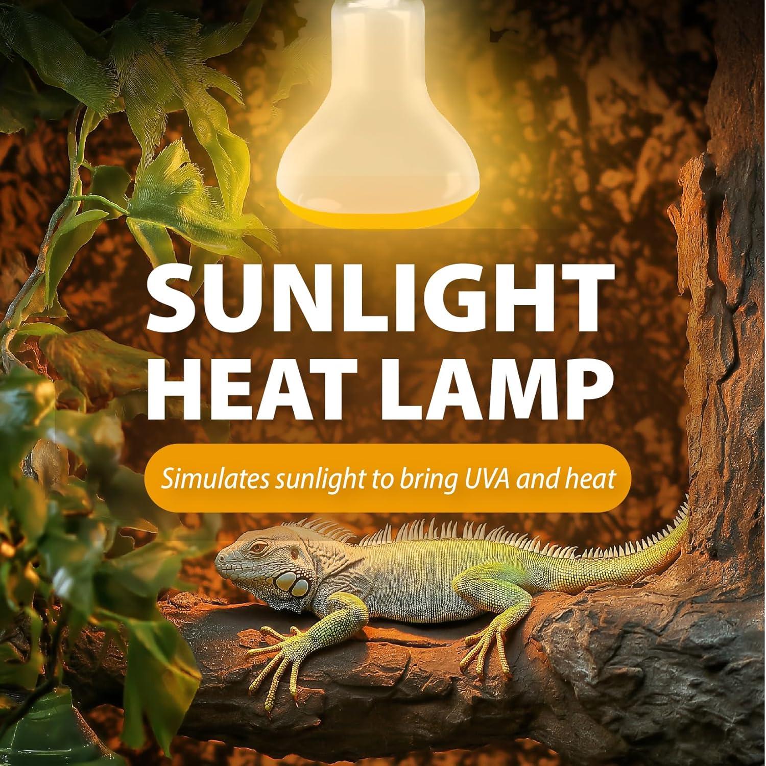 Paquete de 2 Bombillas de Calor Solar 75W Gxiietem para Reptiles