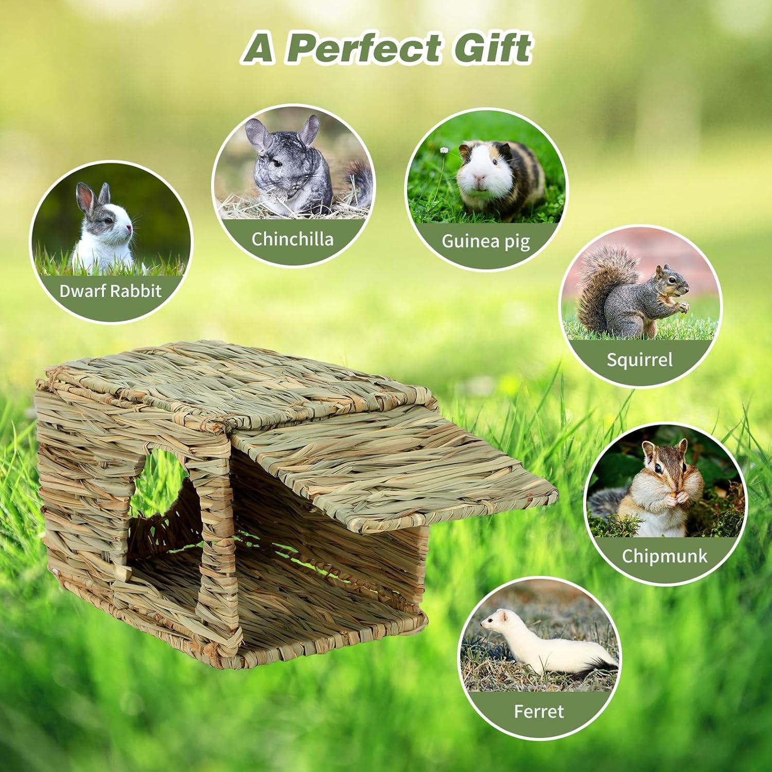 Casa de Hierba BWOGUE para Conejos y Animales Pequeños 30x20x23 cm