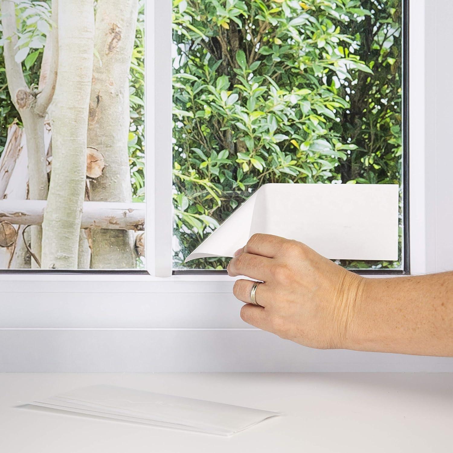 Trampa de Moscas Black Flag - 4 Unidades, Adhesiva Transparente