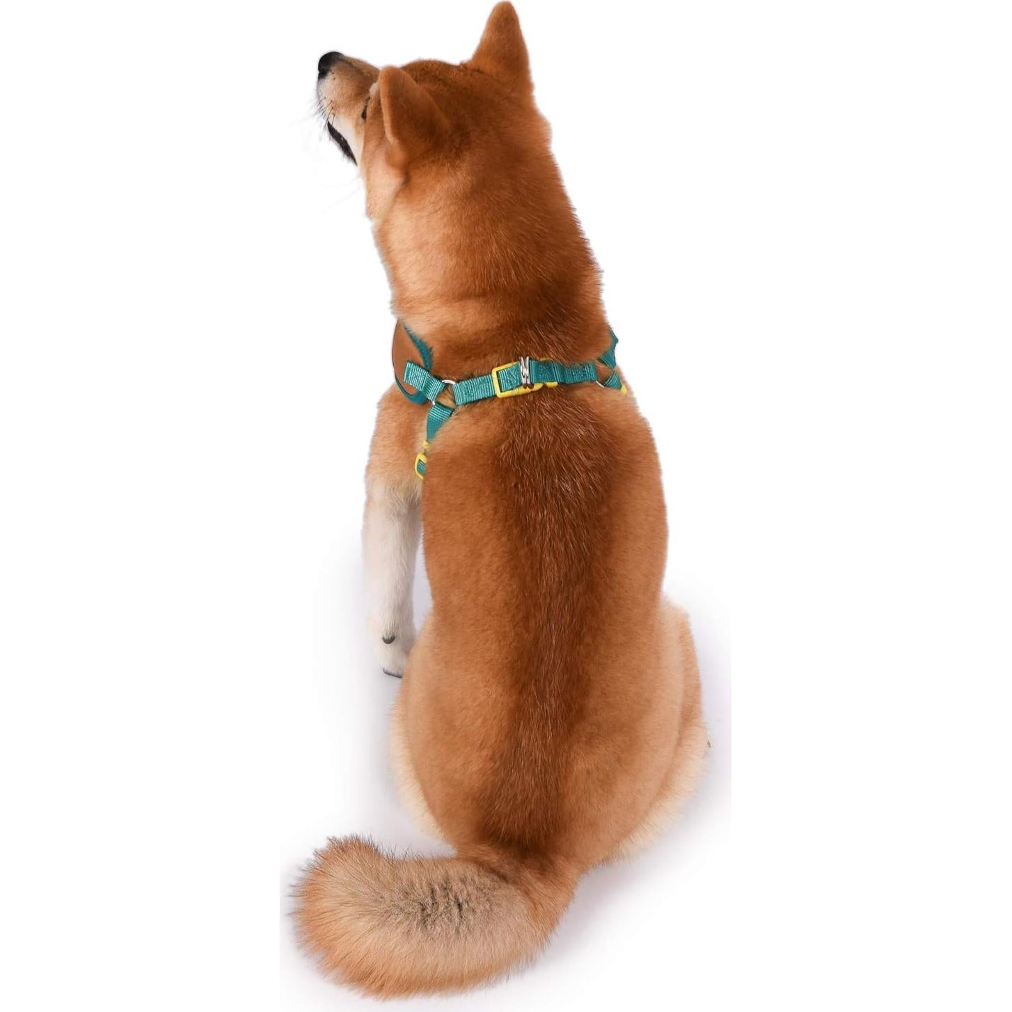 Arnés para Perro Scooby Doo Mediano Sin Tirones Beige y Azul