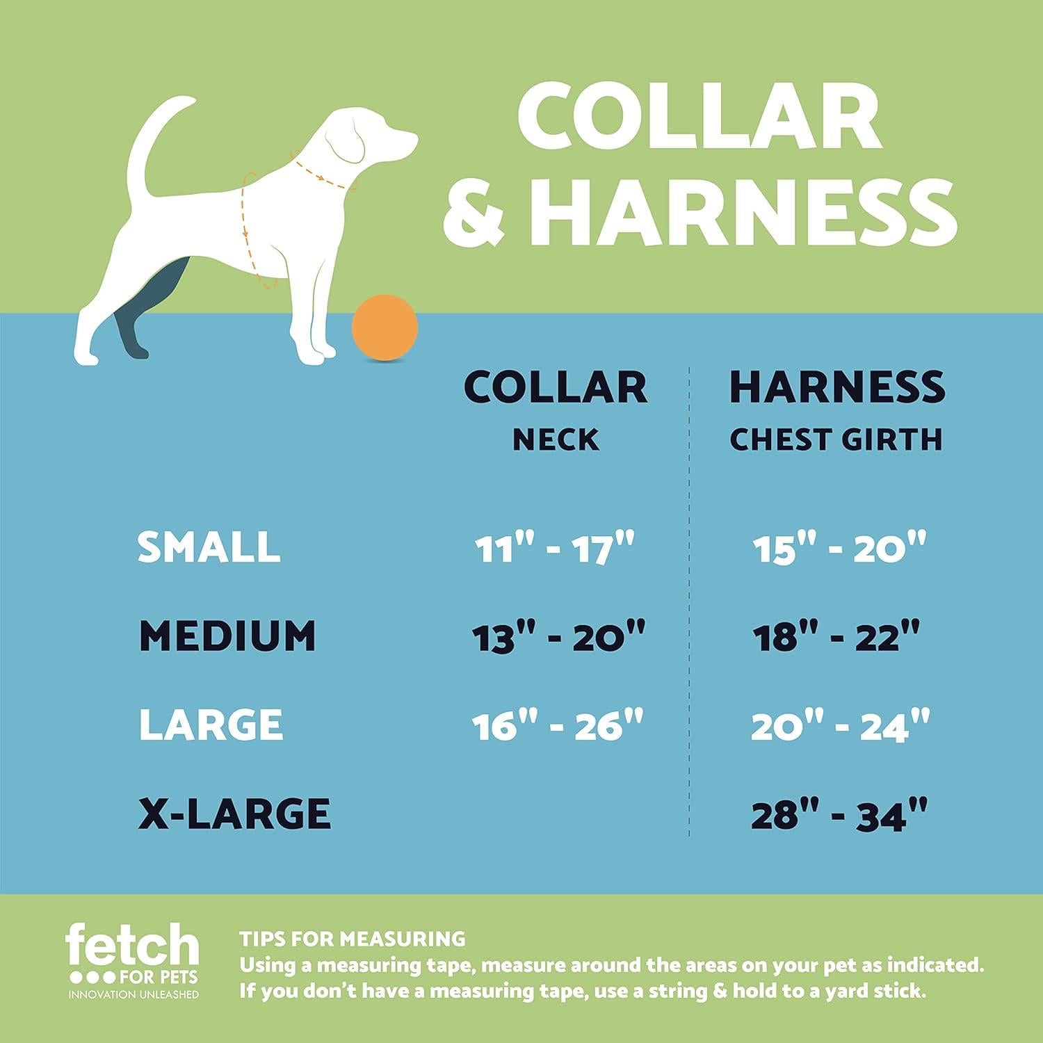 Arnés para Perro Scooby Doo Mediano Sin Tirones Beige y Azul