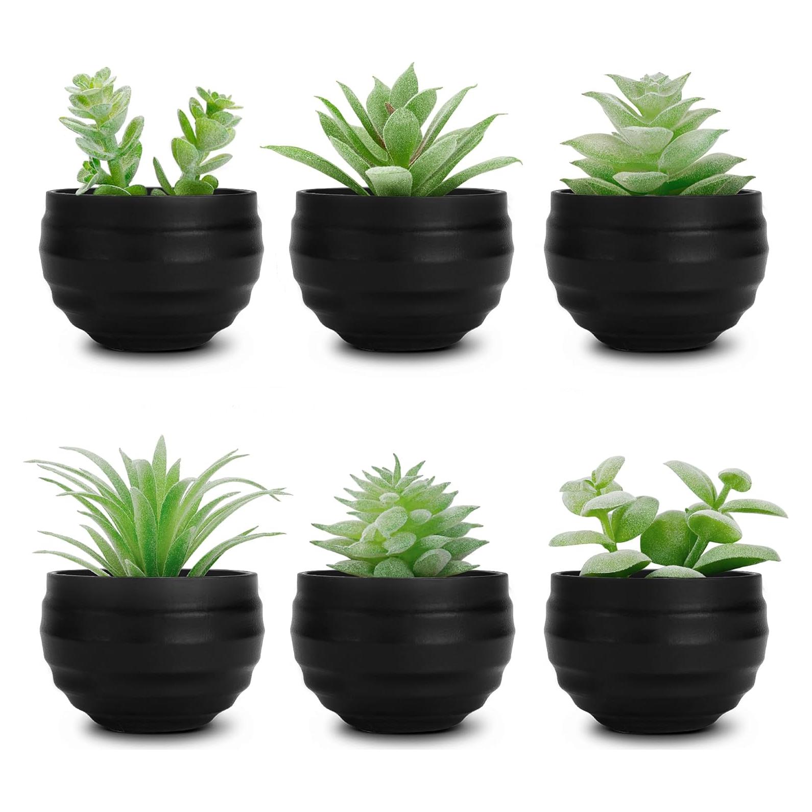 Set de 6 Plantas Suculentas Artificiales Der Rose en Macetas Negras