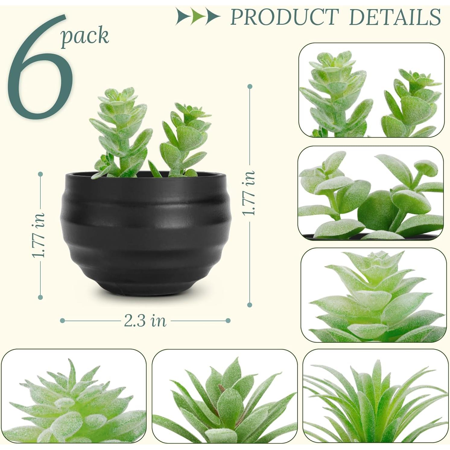 Set de 6 Plantas Suculentas Artificiales Der Rose en Macetas Negras