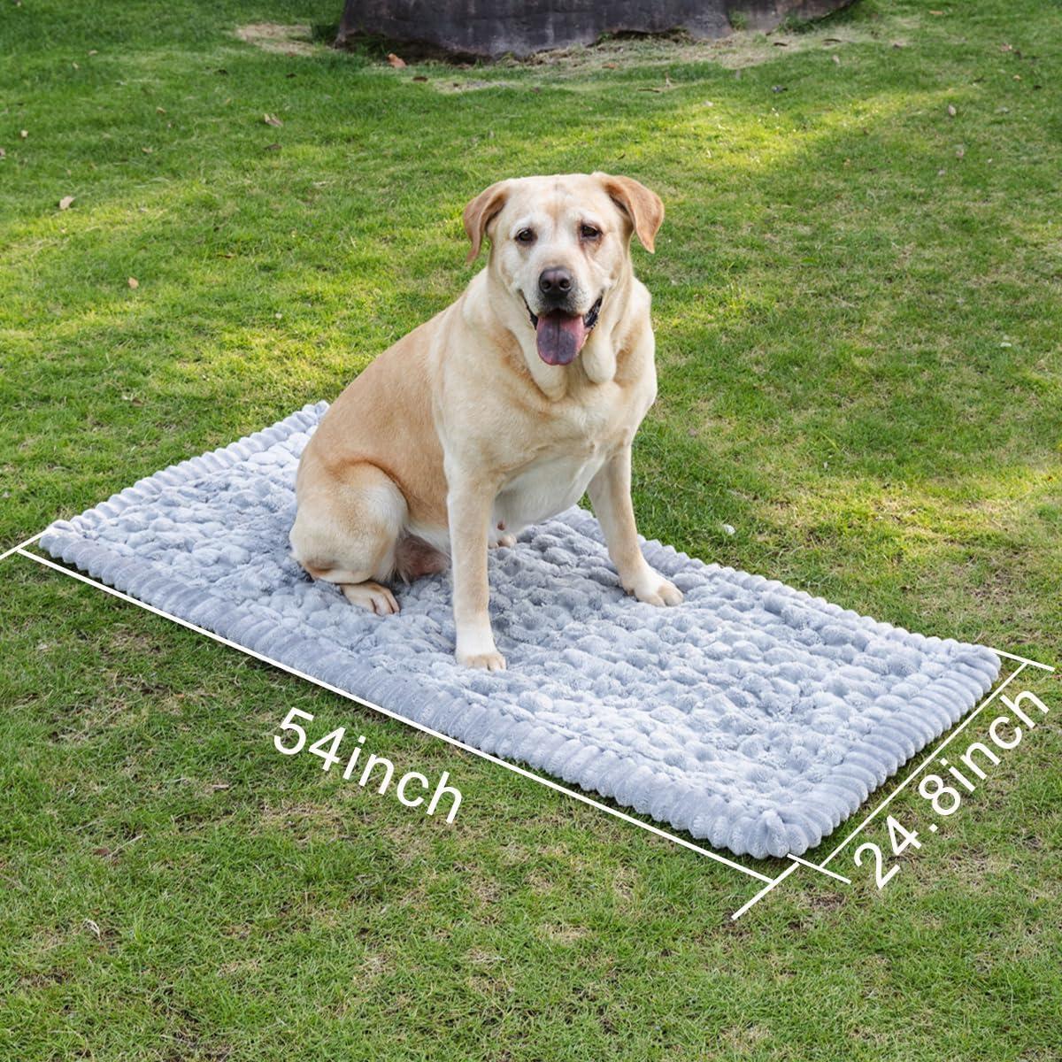 Alfombra para perro Mitid YguibeiQIANHUIche 63x137 cm Antideslizante