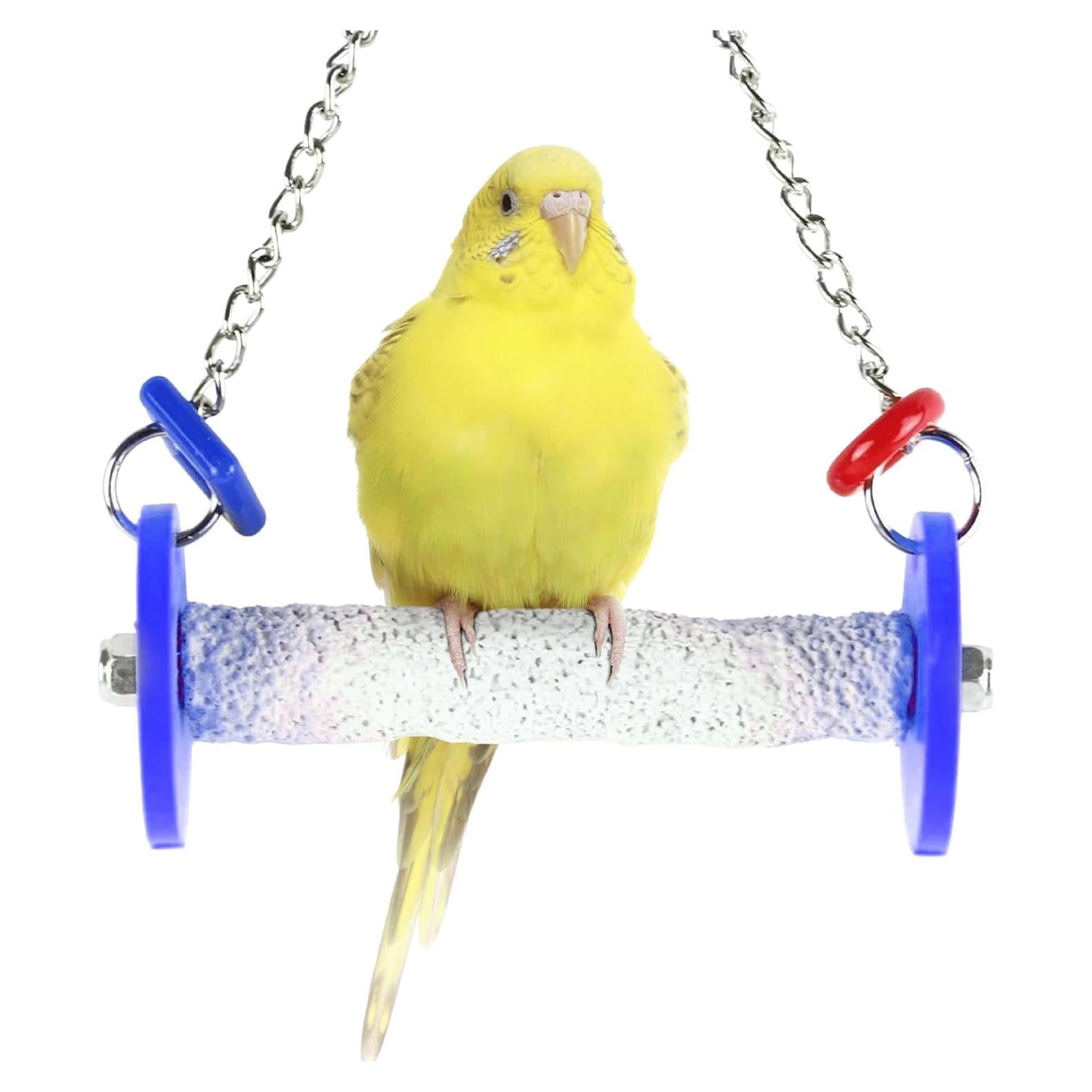 Columpio de Pájaro Sweet Feet and Beak 11.43 cm Azul