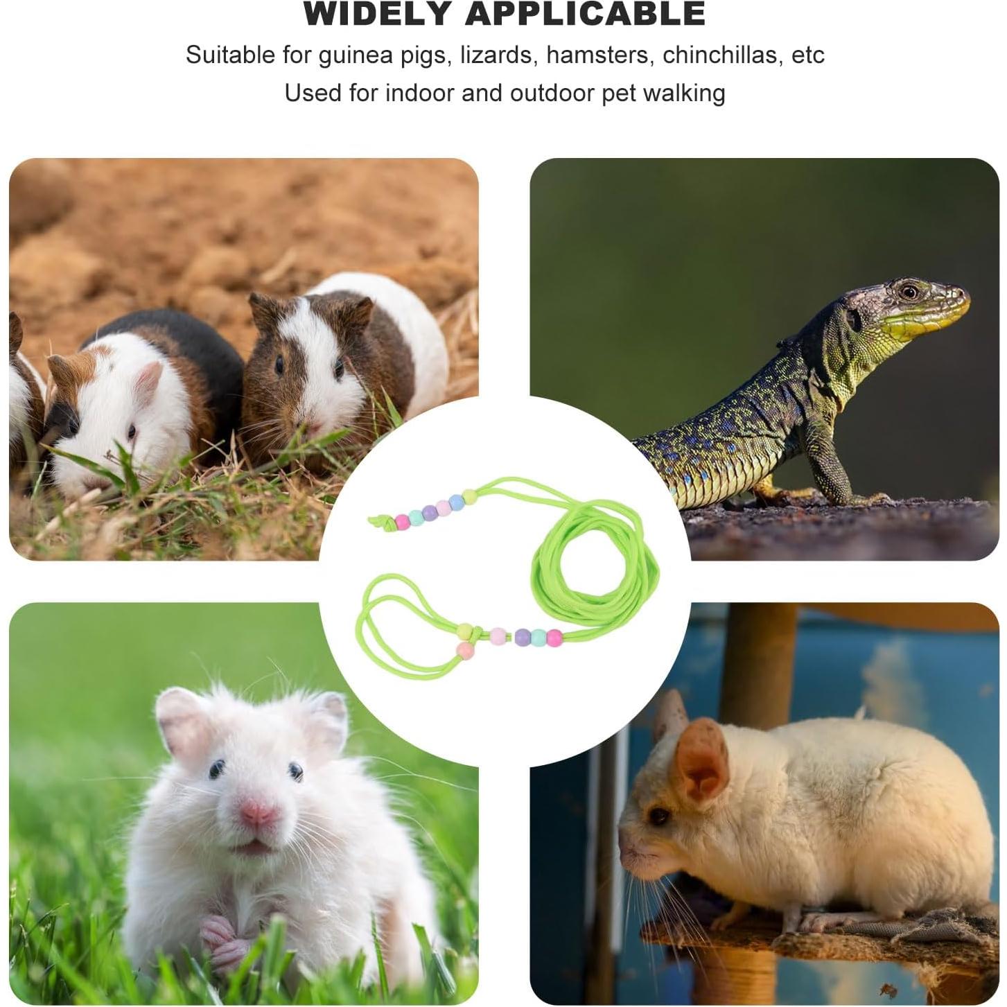 Correa Ajustable para Lagarto Dragón Barbudo Tnfeeon Verde