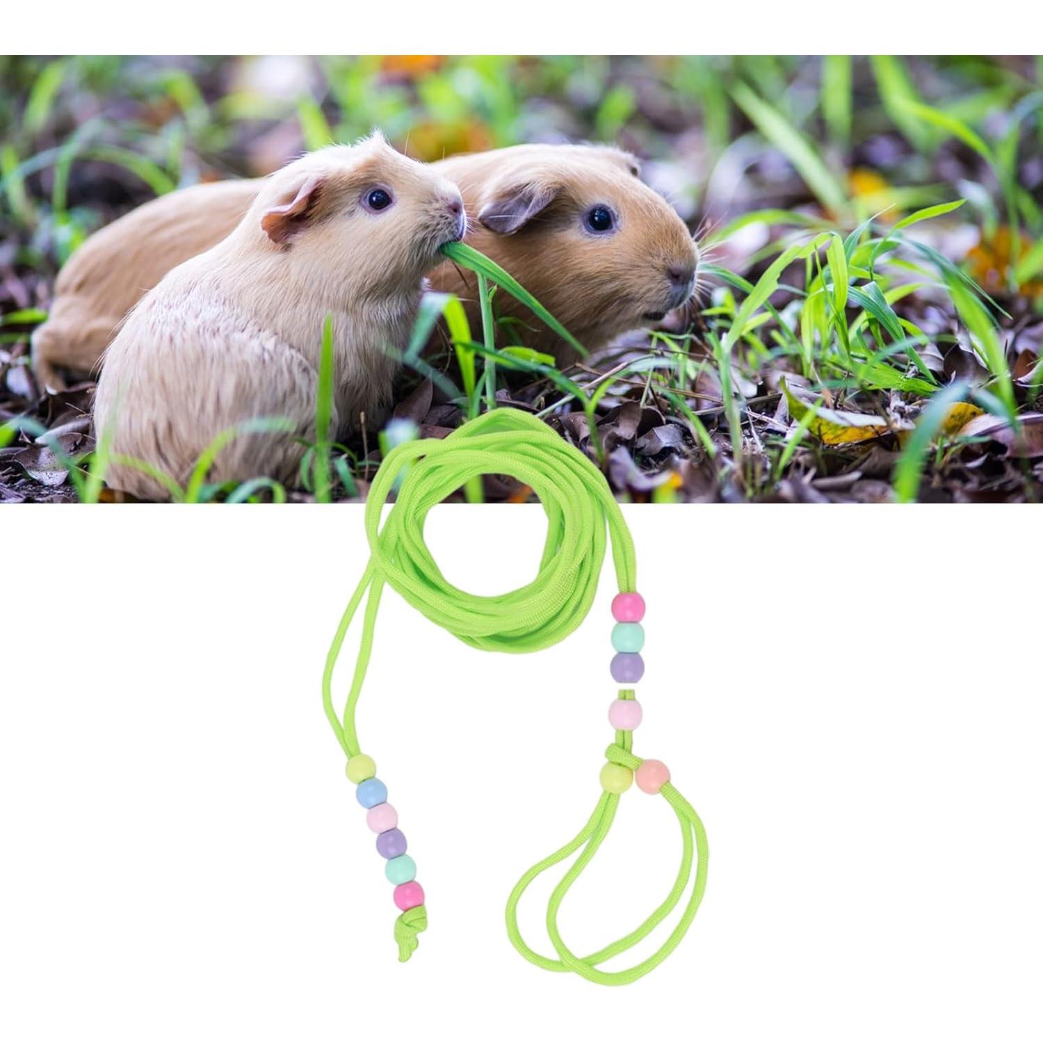 Correa Ajustable para Lagarto Dragón Barbudo Tnfeeon Verde