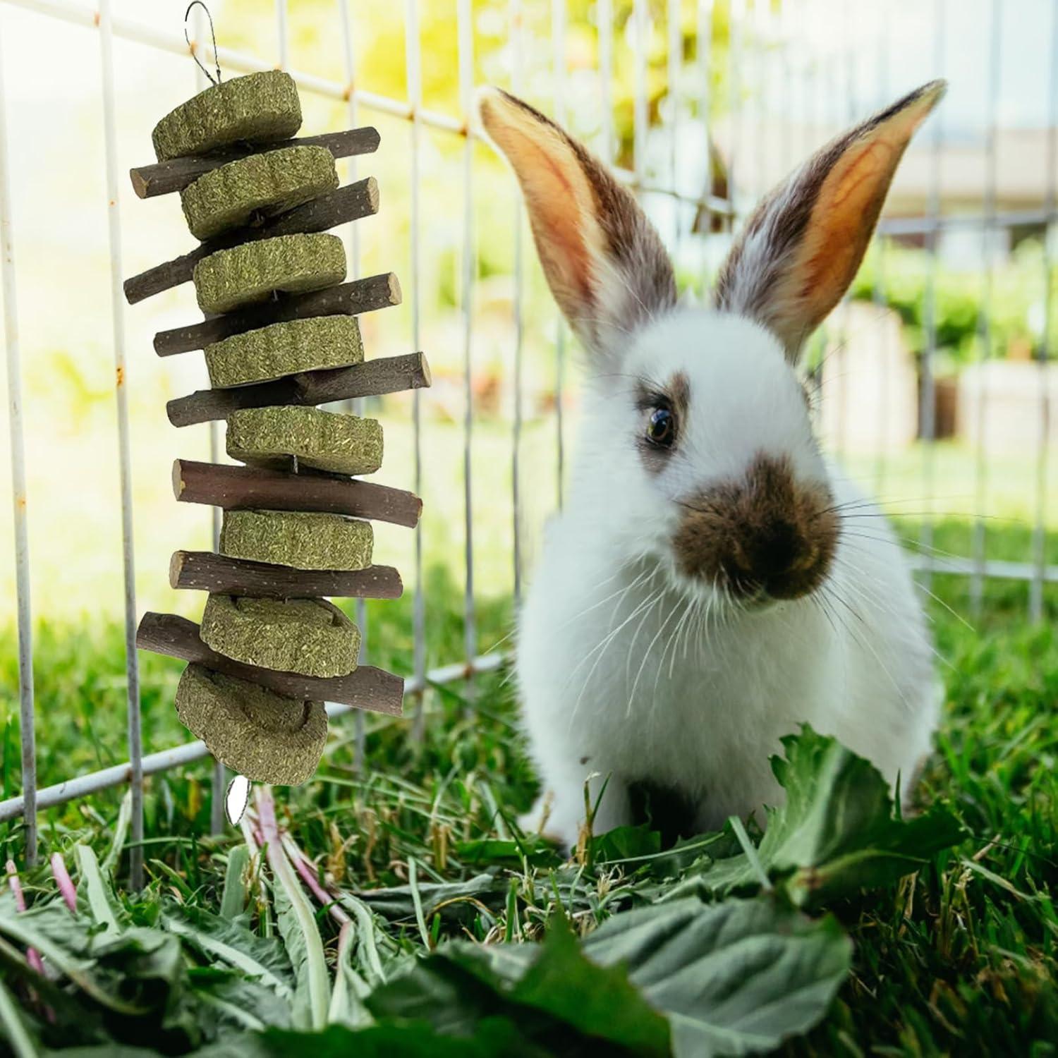Juguetes Masticables para Conejos Kathson - Varillas de Manzana 4 Piezas