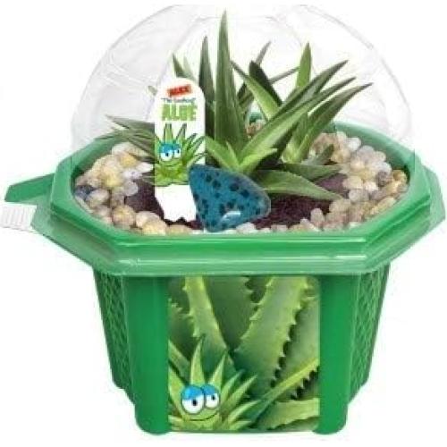 Kit de Terrario Alex El Aloe Calmante Toys By Nature - Cultiva tu Planta Mascota