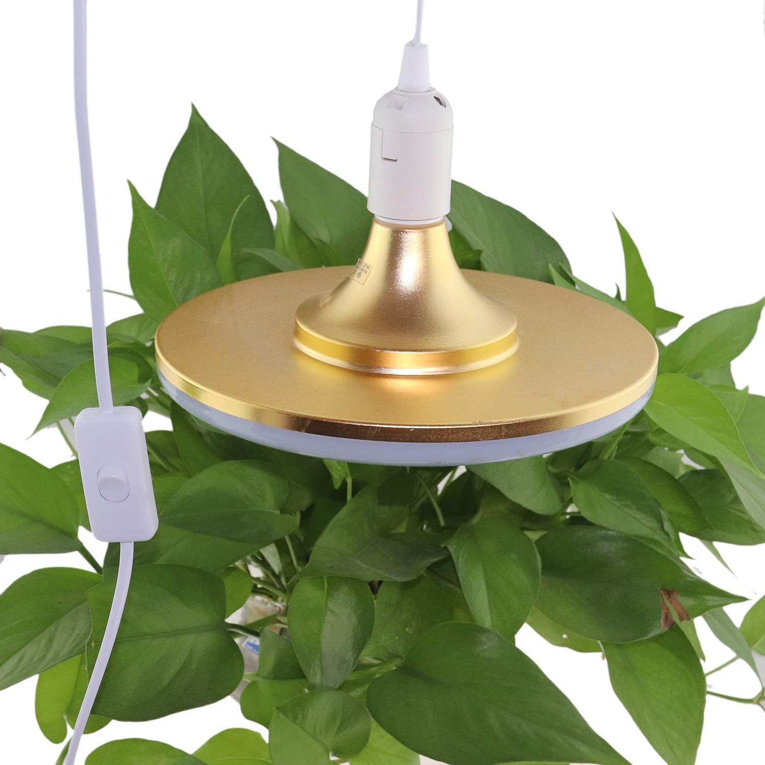 Portalámparas colgante E26/E27 Rextin con cable 4m y interruptor