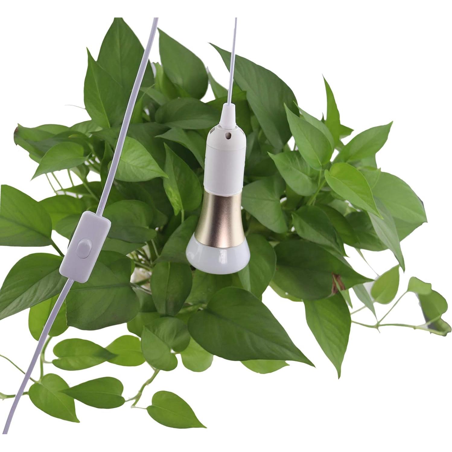 Portalámparas colgante E26/E27 Rextin con cable 4m y interruptor