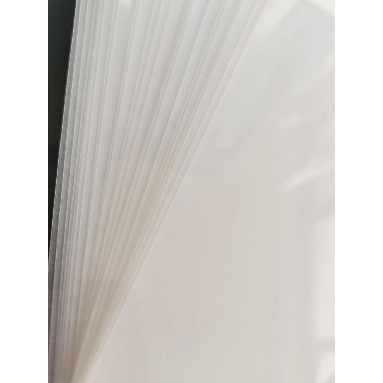 Hojas de Plástico Termocontraíble Wayyoo 25 PCS 20.3x29cm