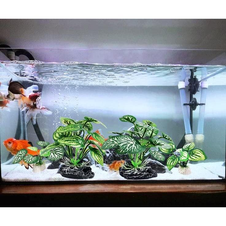 4 Plantas Artificiales para Acuario Vtapliea - Decoración Betta