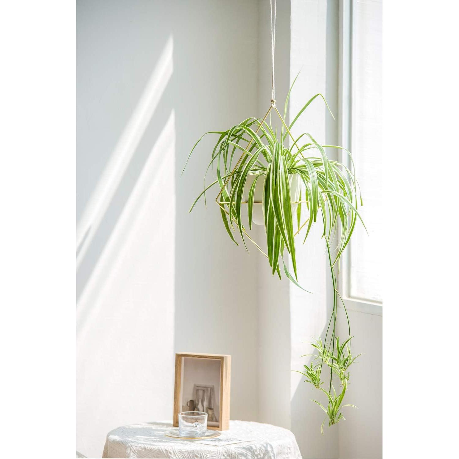 Juego de 2 Macetas Colgantes de Metal Mkono 15 cm Dorado