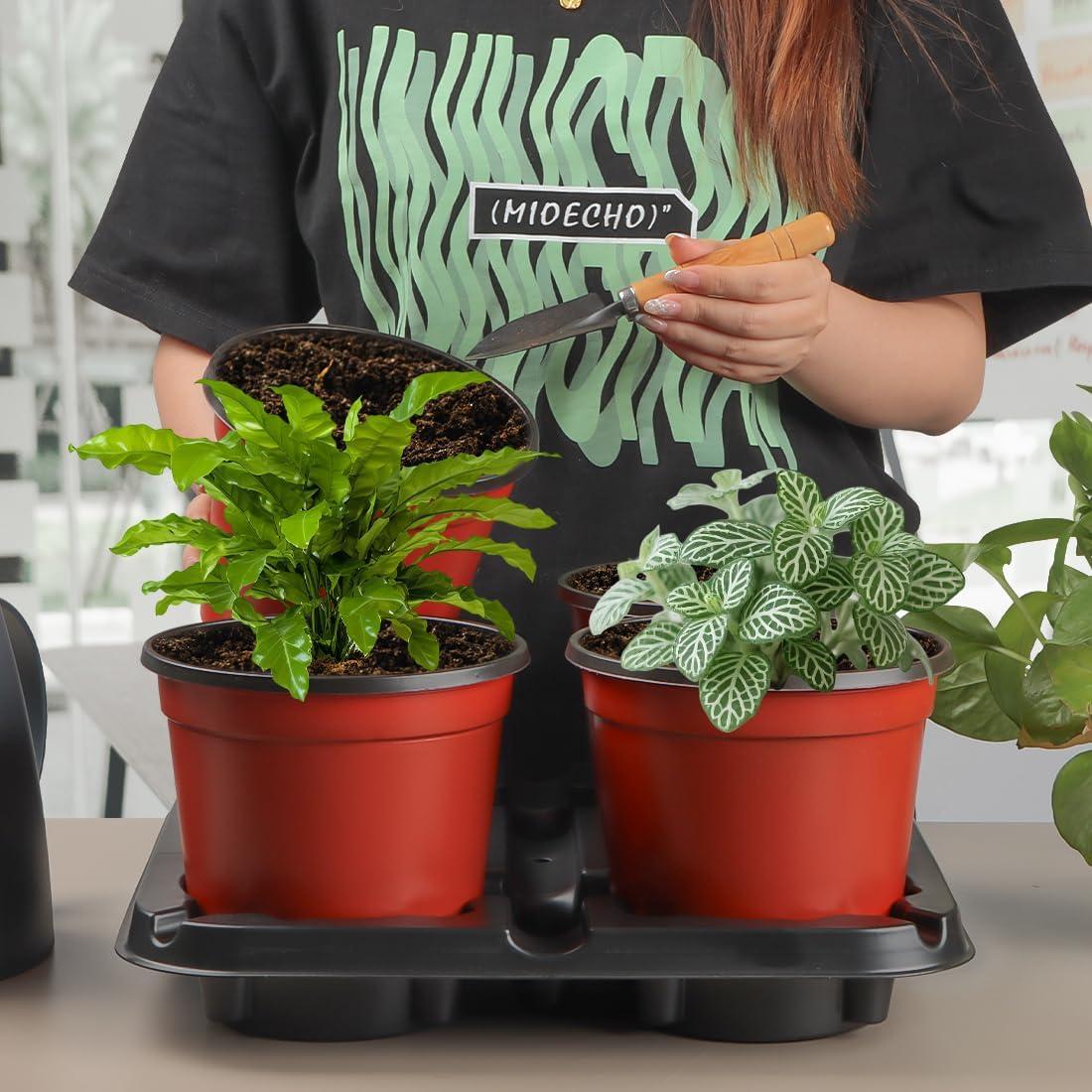 Bandejas de Vivero 4 Celdas RooTrimmer para Macetas 5 Pulgadas