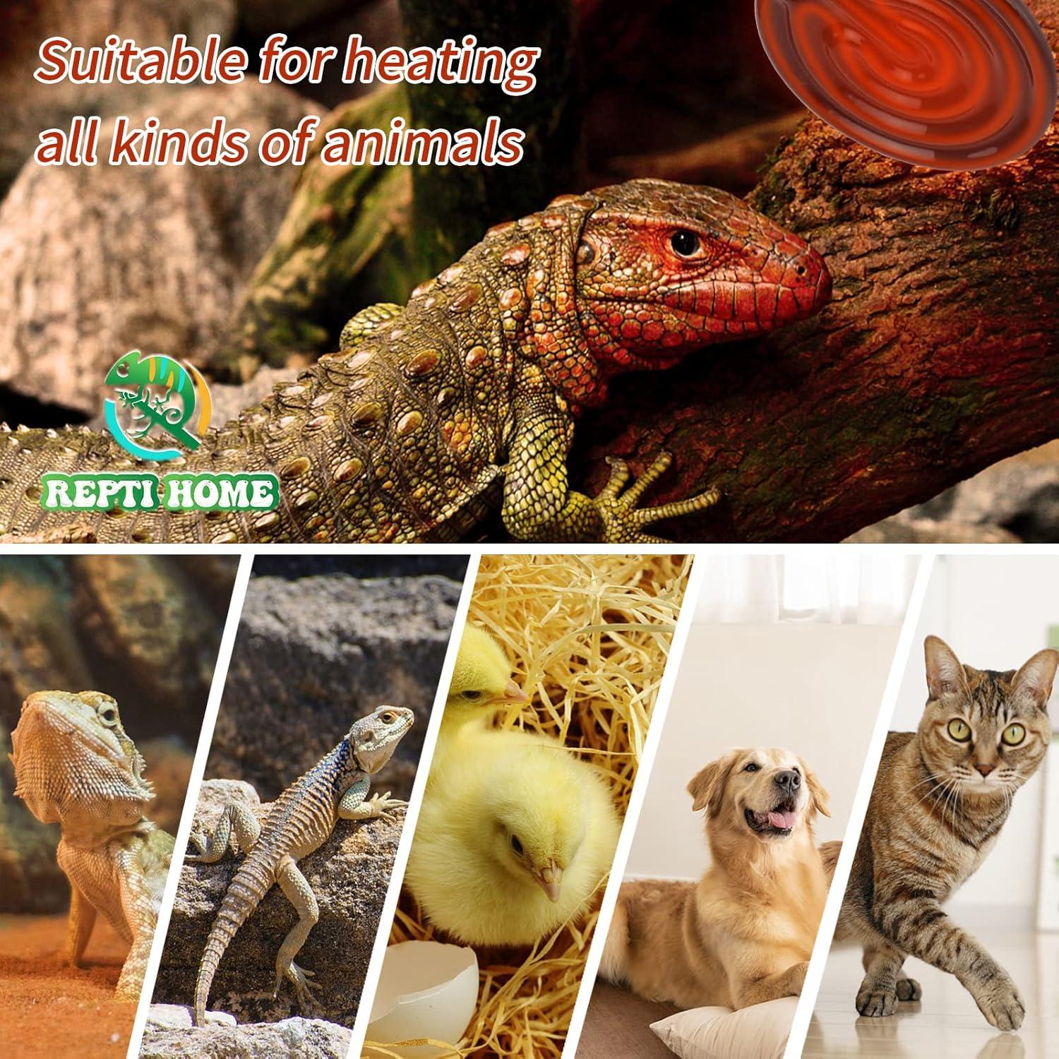 Emisor de Calor Cerámico 50W REPTI HOME - Paquete de 2