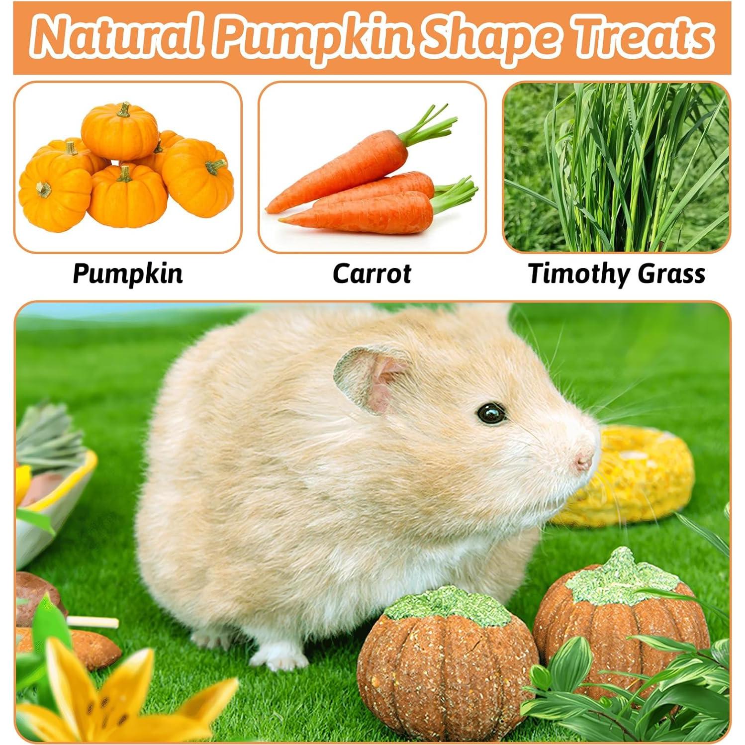 Juguetes para Roer de Calabaza Fhiny - 6 PCS para Conejos y Cuyos