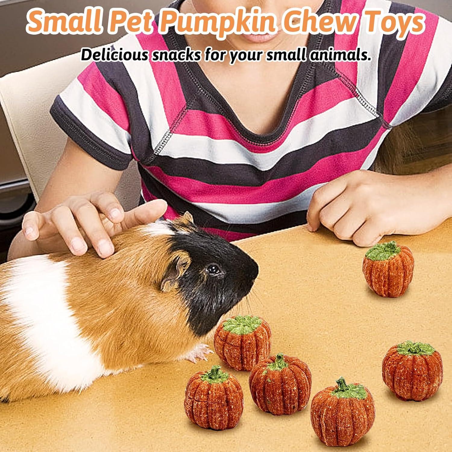 Juguetes para Roer de Calabaza Fhiny - 6 PCS para Conejos y Cuyos