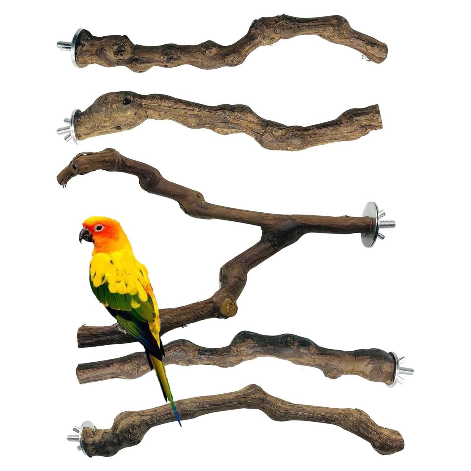 Palo de Pie para Aves Clais - Juguetes de Madera Natural 5 PCS