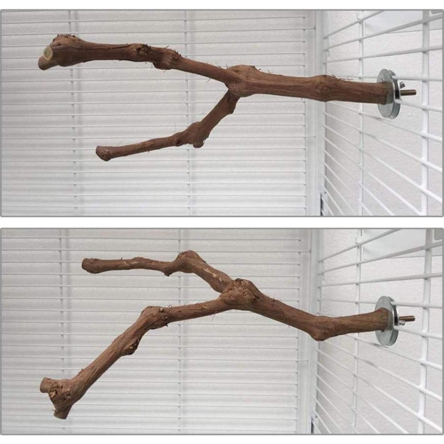 Palo de Pie para Aves Clais - Juguetes de Madera Natural 5 PCS