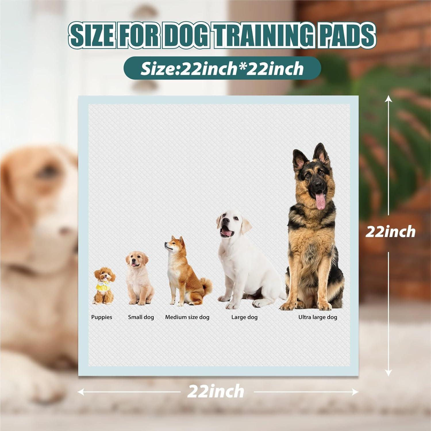 Almohadillas para Cachorros GWT Ultra Absorbentes 50 Unidades 56x56cm