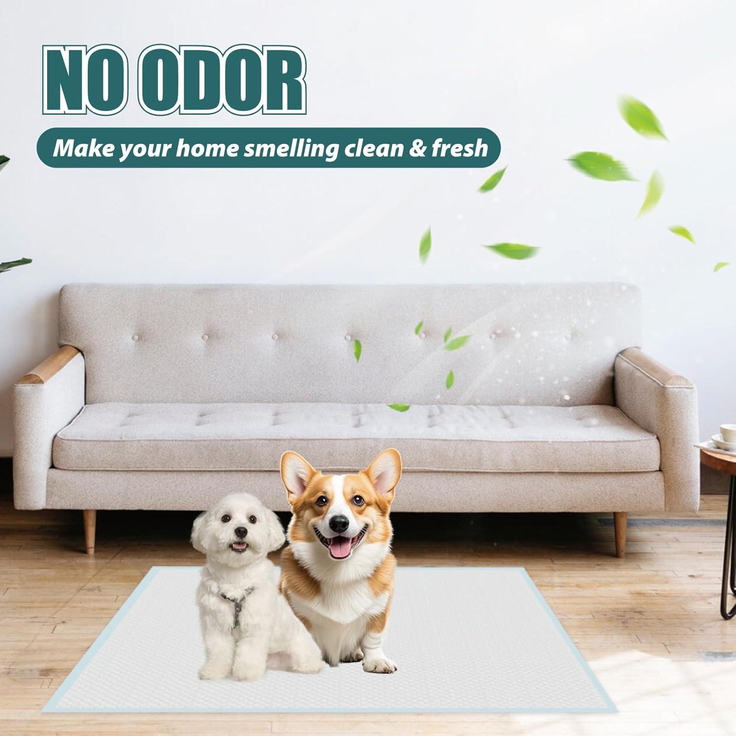 Almohadillas para Cachorros GWT Ultra Absorbentes 50 Unidades 56x56cm