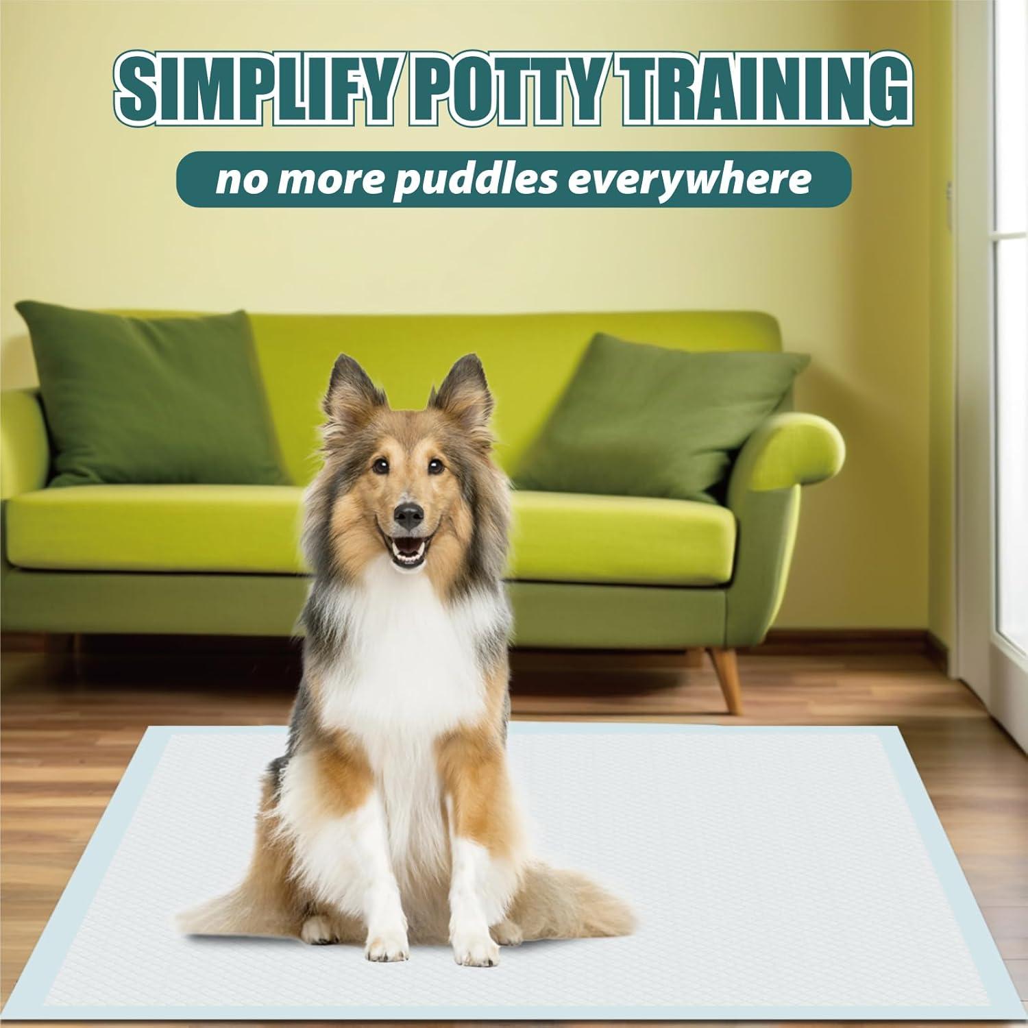 Almohadillas para Cachorros GWT Ultra Absorbentes 50 Unidades 56x56cm