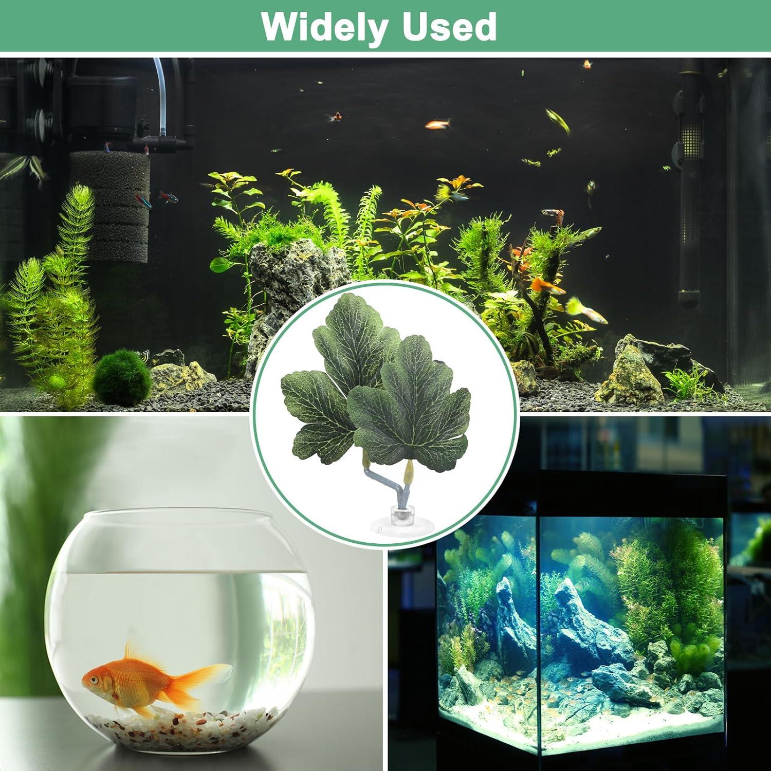 Almohadillas de Hoja para Peces Betta M METERXITY - 2 Piezas