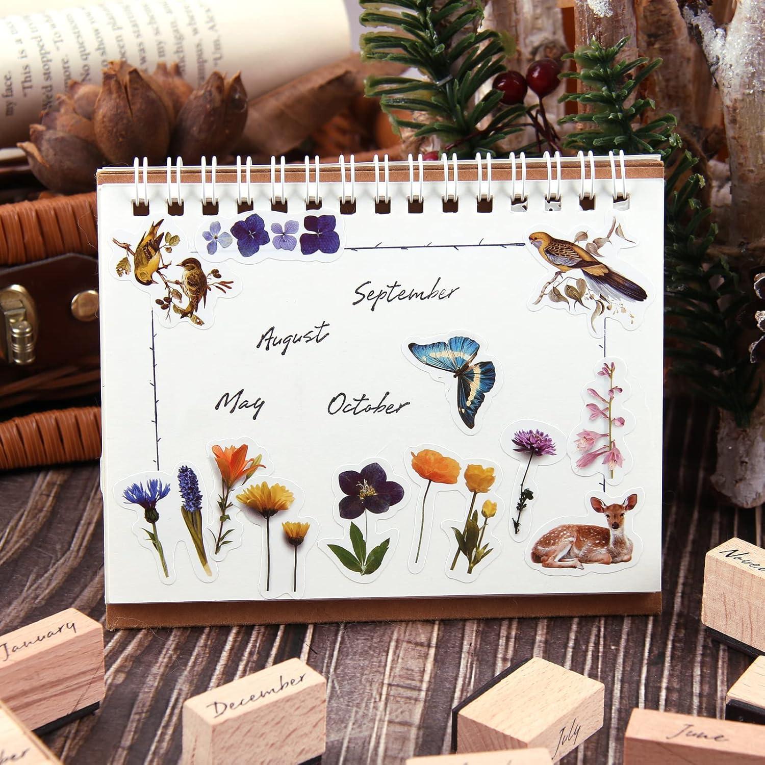 Juego de Sellos de Goma Dizdkizd 12 Piezas para Manualidades