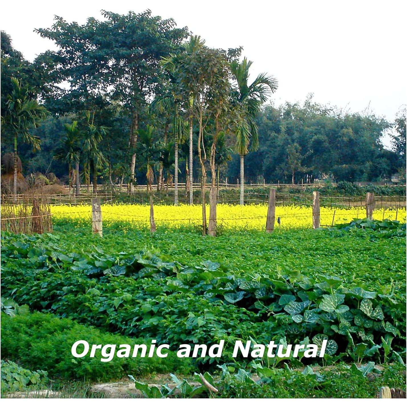 Pólvora de Pimienta Larga Orgánica Blessfull Healing 100g