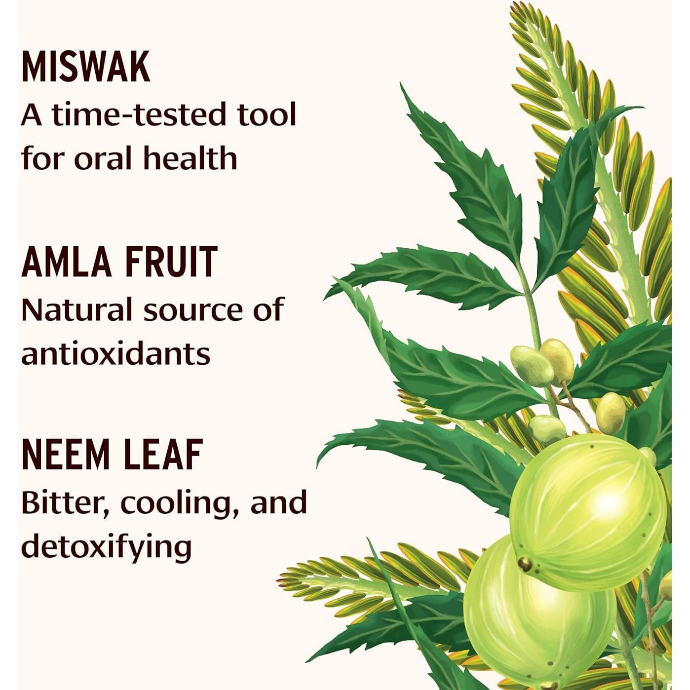 Polvo de Dientes Sin Sabor Banyan Botanicals Menta 21g