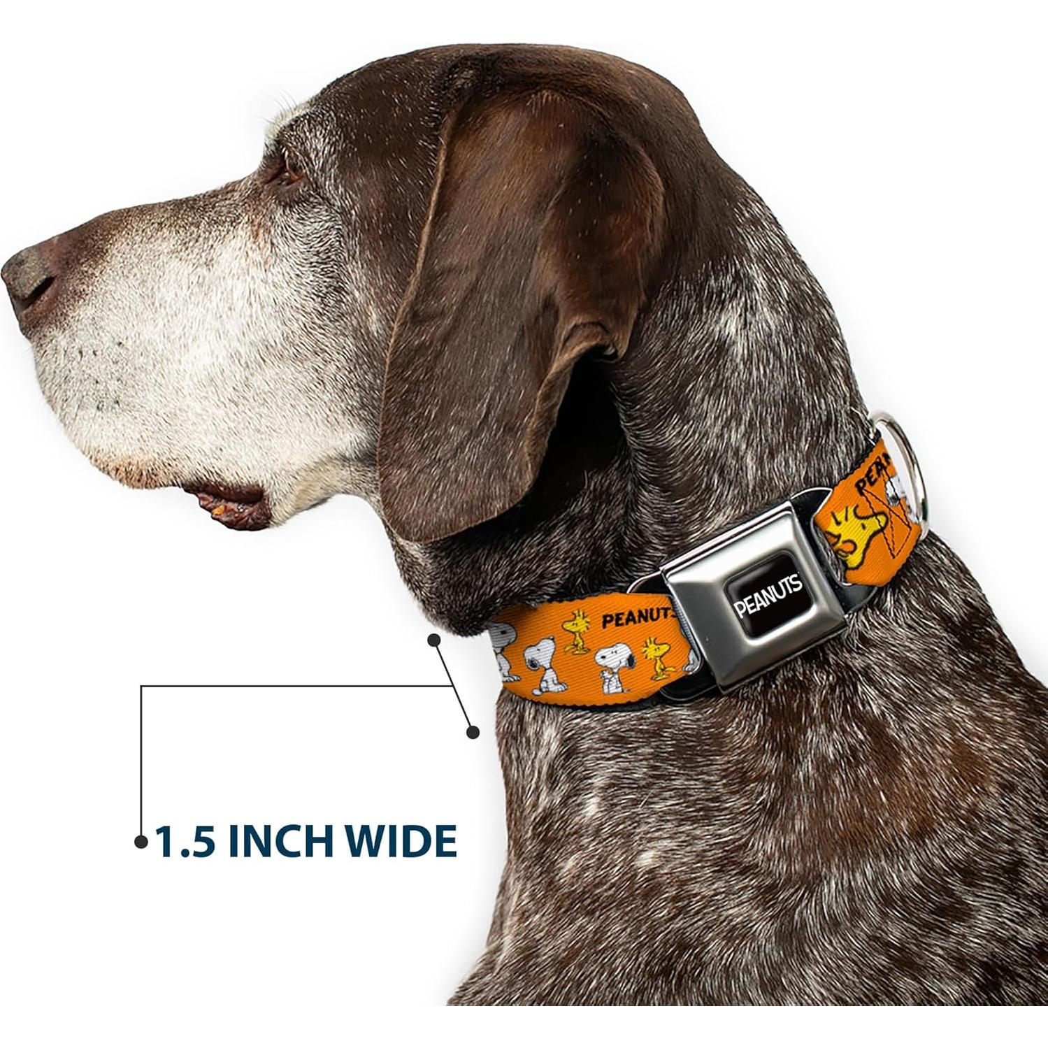 Collar para Perro Peanuts Buckle-Down 24.1-33 cm Naranja