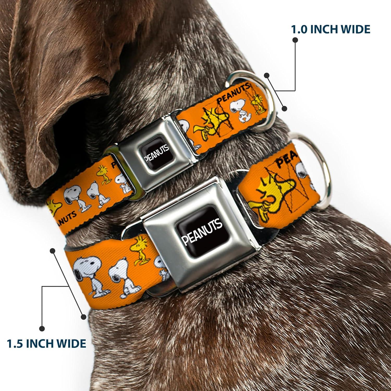 Collar para Perro Peanuts Buckle-Down 24.1-33 cm Naranja