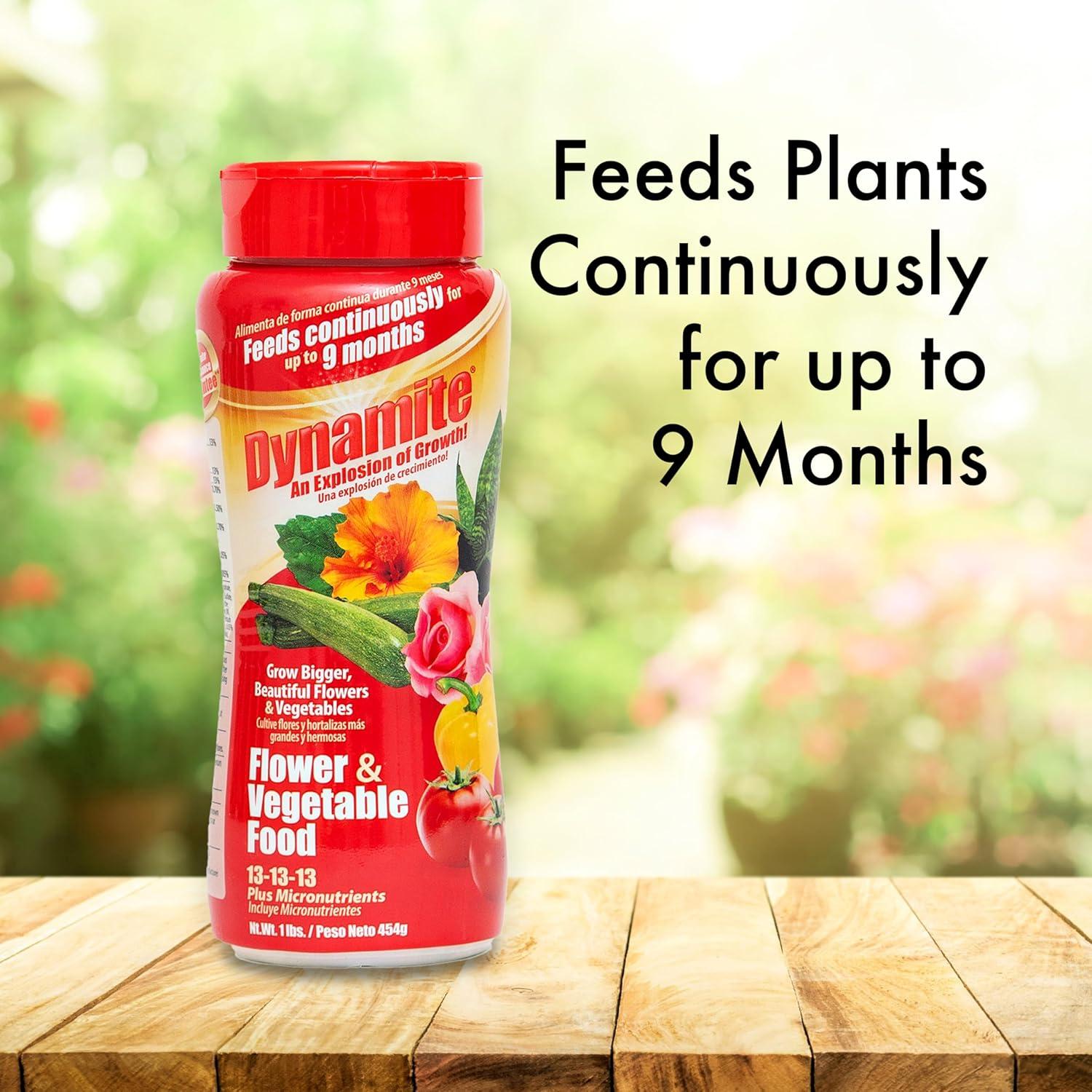 Fertilizante para Plantas Dynamite 0.45 kg - Flores y Verduras
