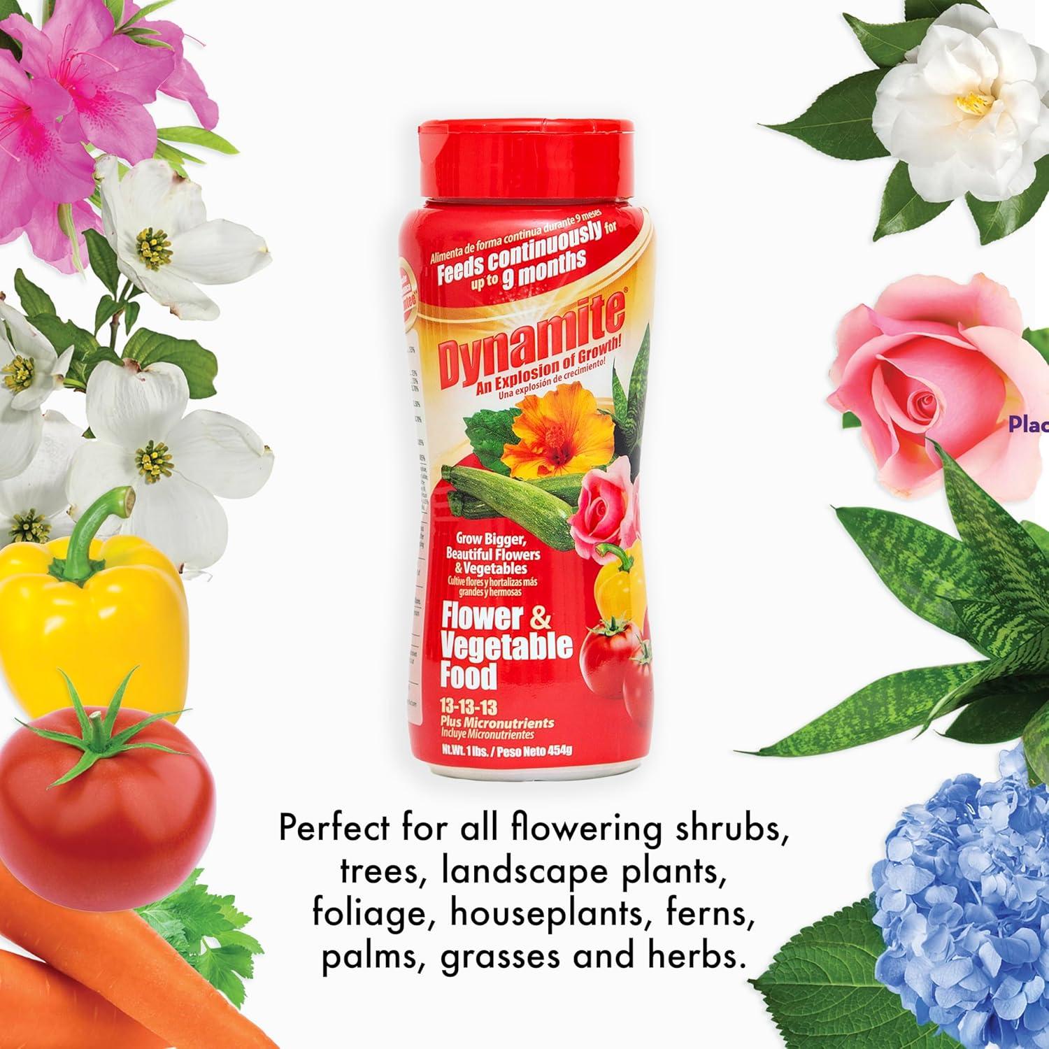 Fertilizante para Plantas Dynamite 0.45 kg - Flores y Verduras