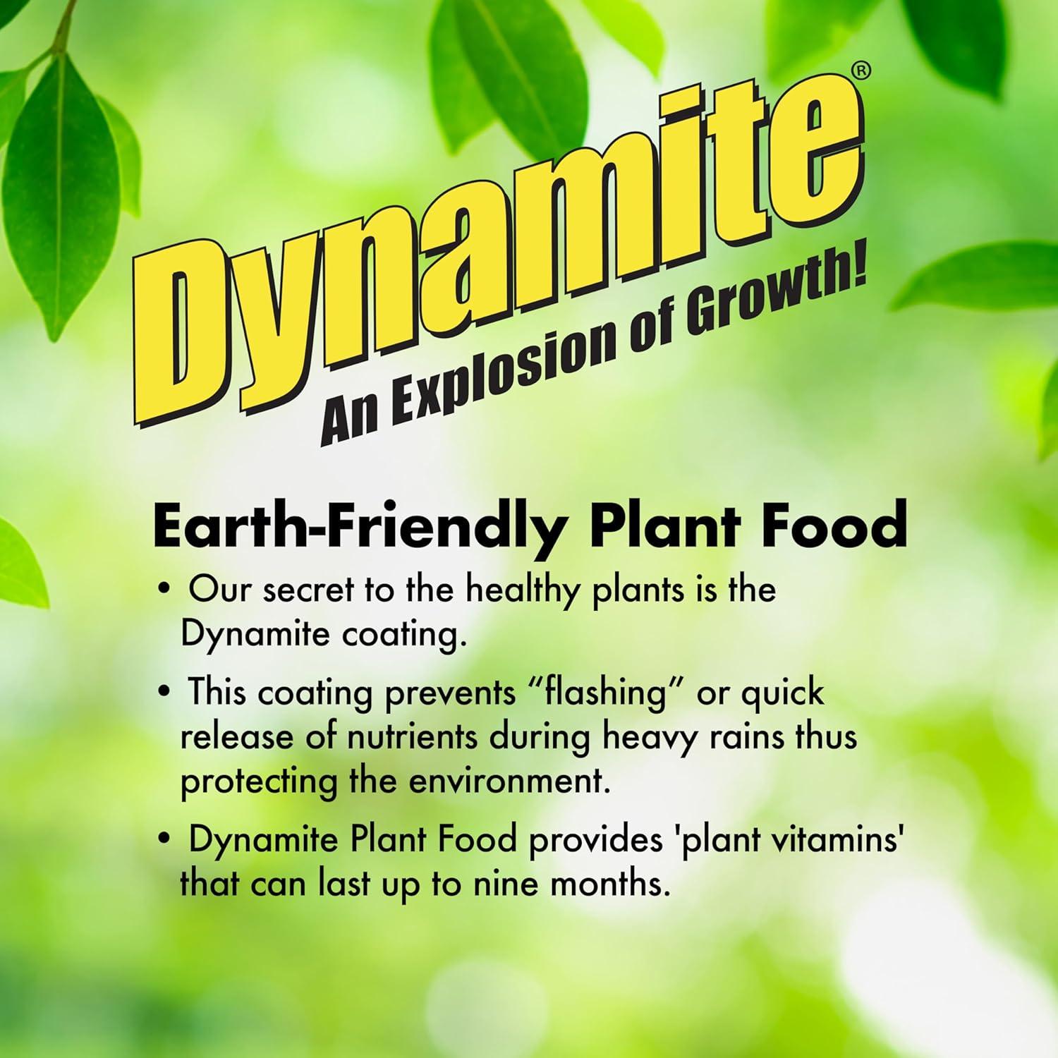 Fertilizante para Plantas Dynamite 0.45 kg - Flores y Verduras