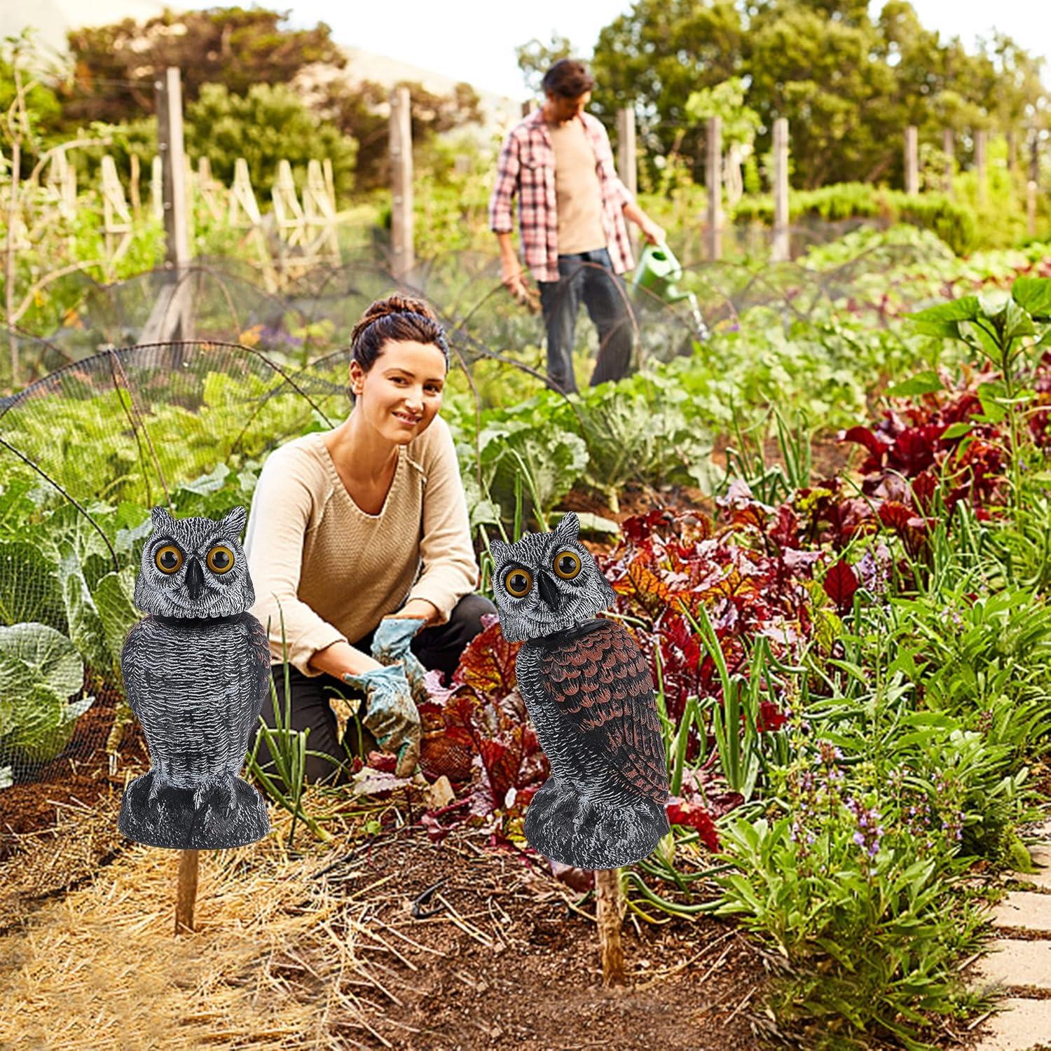 Hausse 2 Búhos Falsos Ahuyentadores de Aves 27 cm