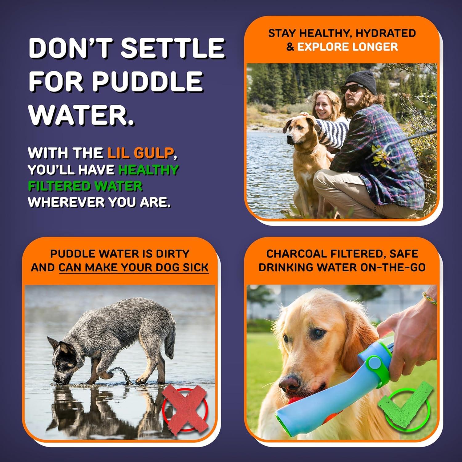 Botella de Agua Portátil para Perros Little Chonk Azul 443 ml