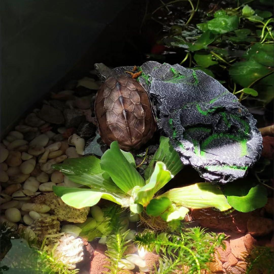 Plataforma de Sol para Reptiles Mipukbay Roca Decorativa 20cm