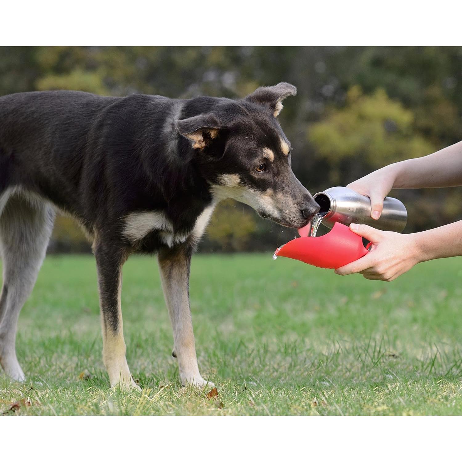 Botella de Agua KONG H2O Acero Inoxidable 740 ml Azul