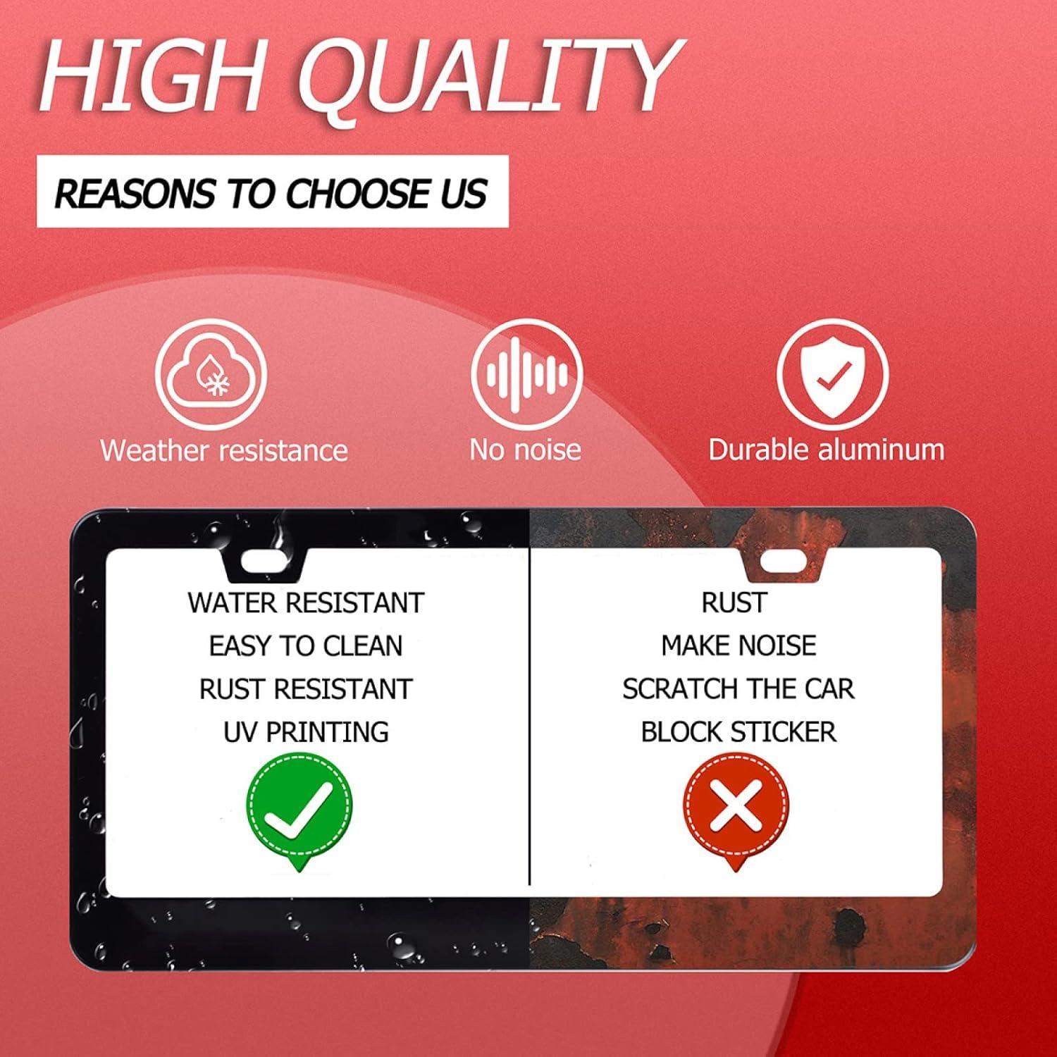 Marco de Placa de Licencia Omw2fyb Floral de Acero Inoxidable 30.99x15.24cm