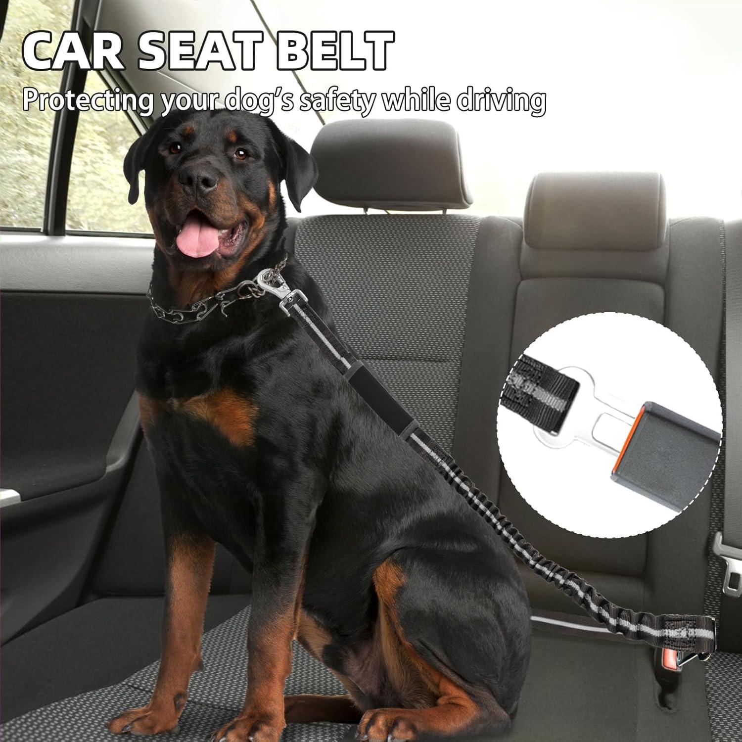 Correa Bungee PUPTECK para Perros Medianos y Grandes, Negro